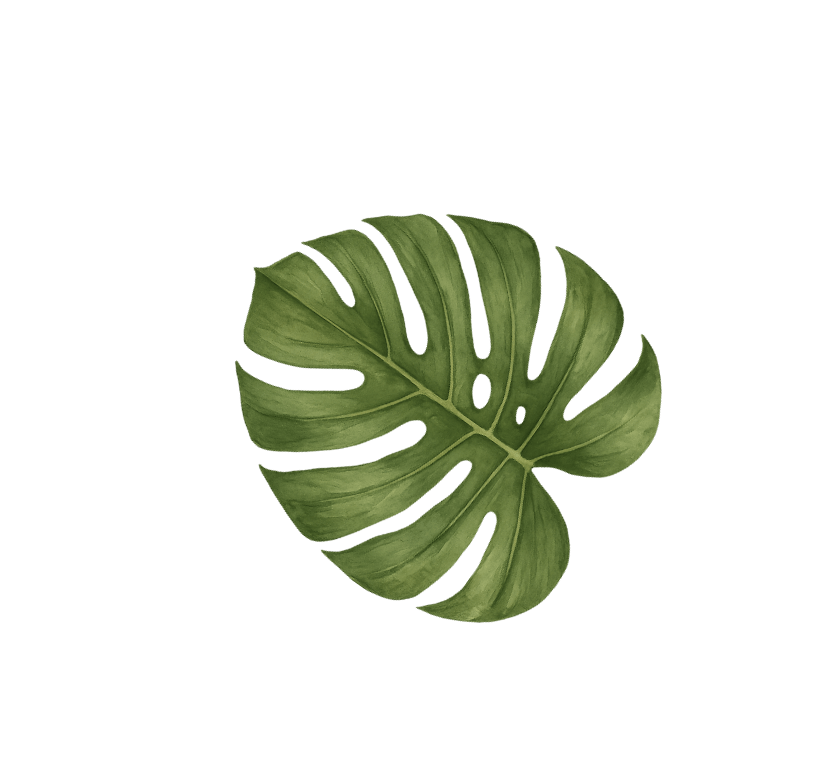 monstera-guadeloupe